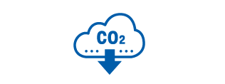 Shape of a cloud with CO2 written inside it, icon.