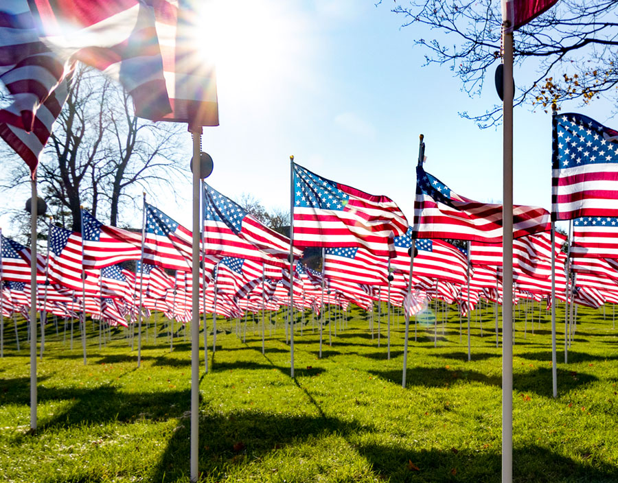American flags flying in observance of Memorial Day.