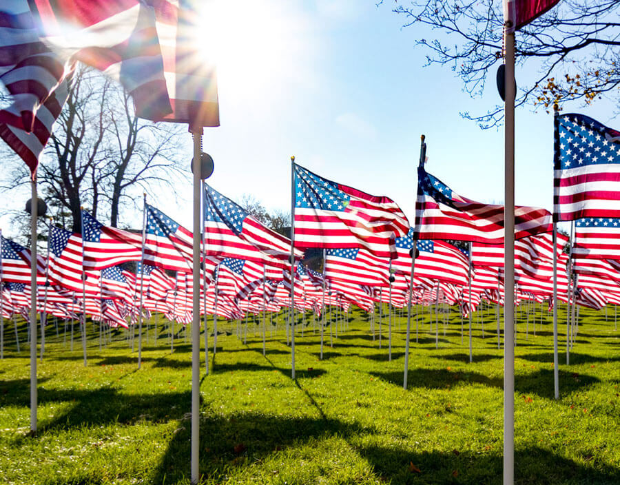 Many American flags flying on a grass green field with the sun overhead in observance of Memorial Day.