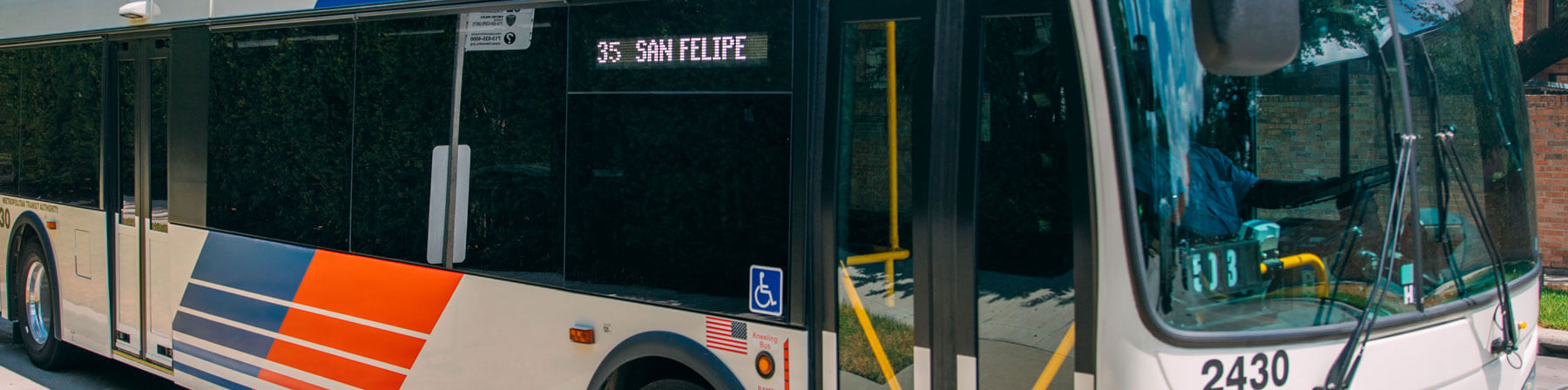 35 San Felipe bus