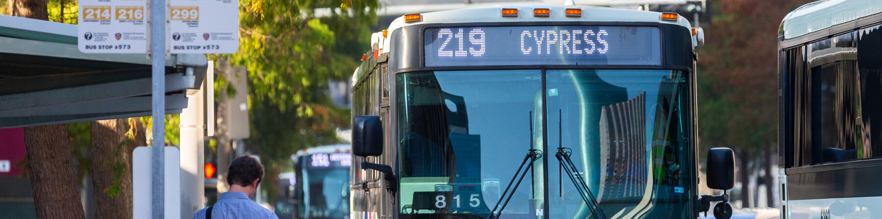 219 Cypress / Northwest Station / West Little York Park & Ride bus