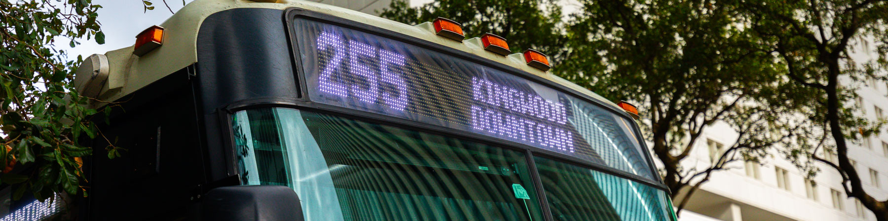 255 Kingwood Park & Ride bus.